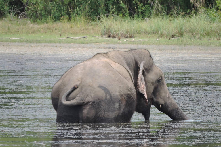 Yala/Mirissa: All Inclusive Full-Day Safari at Yala Park Mirissa/Weligama: All Inclusive Full-Day Safari at Yala Park