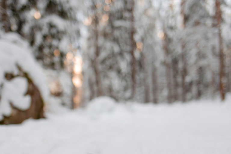 斯德哥尔摩：越野滑雪入门