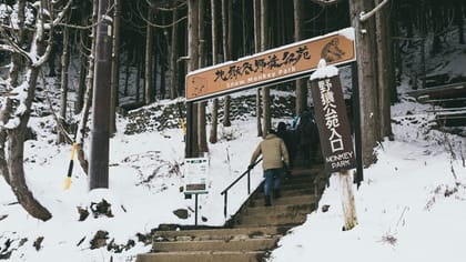 Nagano, Snow Monkeys, Zenkoji Temple - Housity