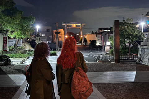 Osaka: Night view and Jinjya tour