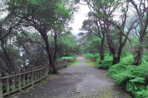 Bandung: Tangkuban Perahu Volcano Tours Tangkuban Perahu - Domas - Tahura Djuanda - Keraton Cliff