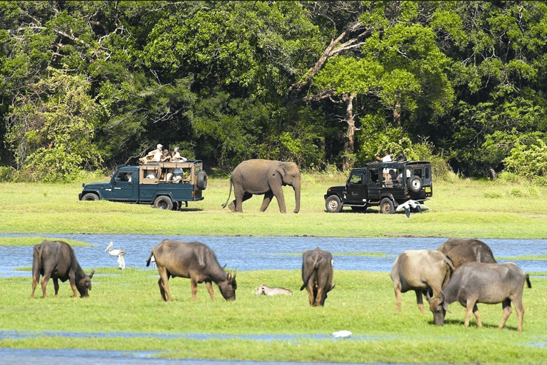 Private Jeepsafari zu einem der besten Nationalparks