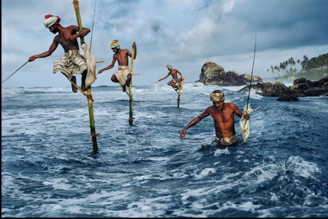 Colombo / Negombo - Yala Day Tour & Sightseeing Galle Fort