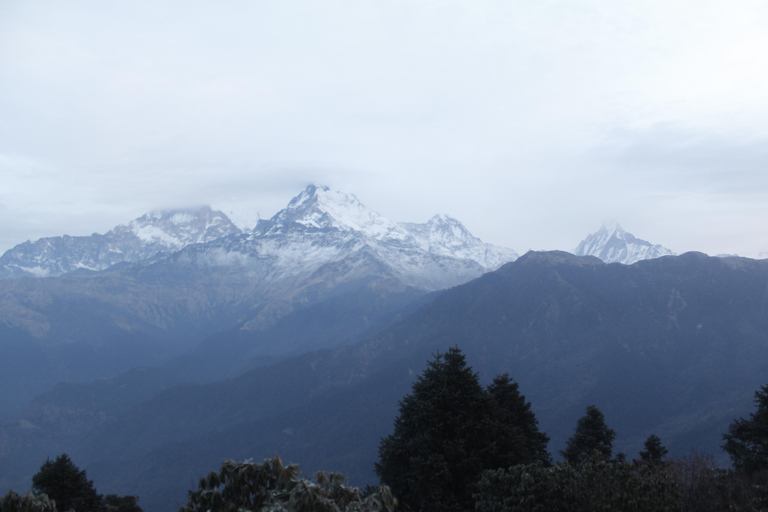 From Pokhara: 2-Day Short Poon Hill Trek