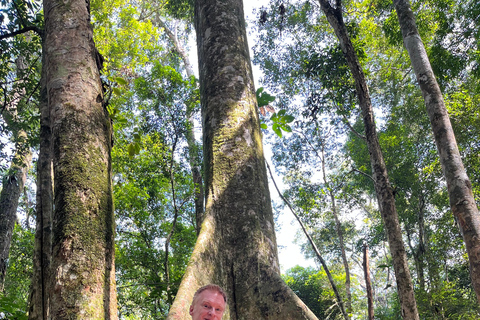 ريو دي جانيرو: جولة في غابة تيجوكا وبيدرا بونيتا بالسيارة