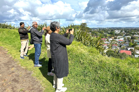 Excursão de meio dia pelos principais pontos da cidade de Auckland (excursão em pequenos grupos)