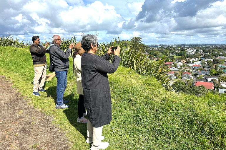 Tour di mezza giornata dei luoghi più interessanti della città di Auckland (tour per piccoli gruppi)