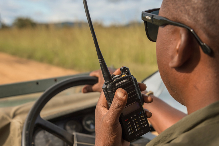 Från Zanzibar: Mikumi Safari med tvåmotorigt flygplan + lunchMikumi Safari – utan transfer