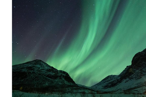 Tromso : La chasse aux aurores boréales en bus avec des photos gratuites