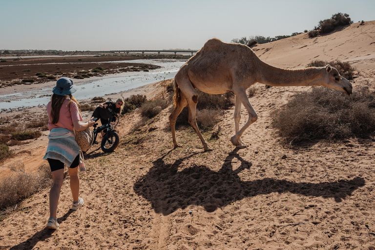 Agadir E-Bike Tour: Flamingos, nature & local stories Explore agadir by e-bike with shine n ride