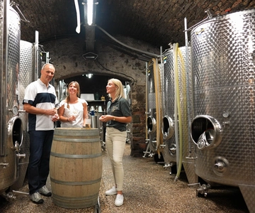 Visita descubierta - visita a la bodega con cata de vinos