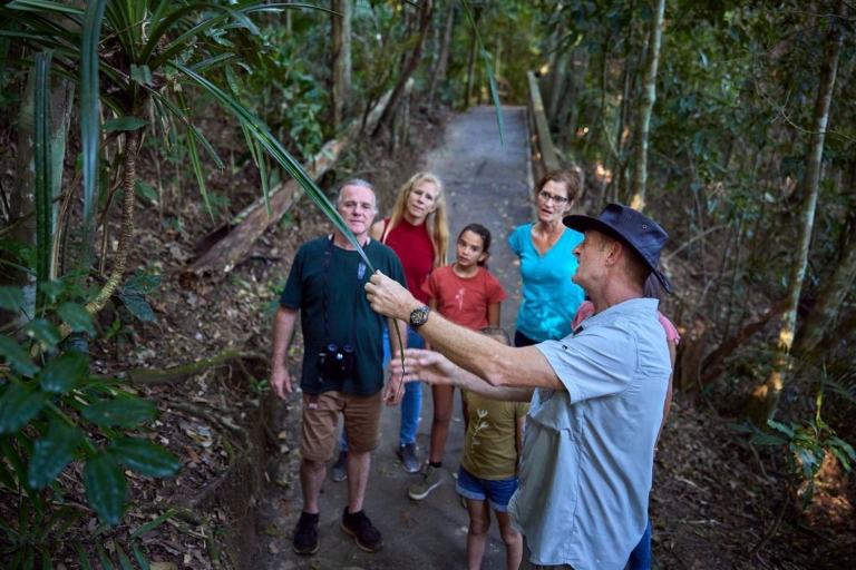 De Cairns: Rainforest & Nocturnal Wildlife TourVisite du centre de Cairns