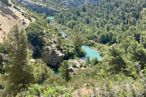Caminito del Rey Experience: Tour with Transport from Malaga