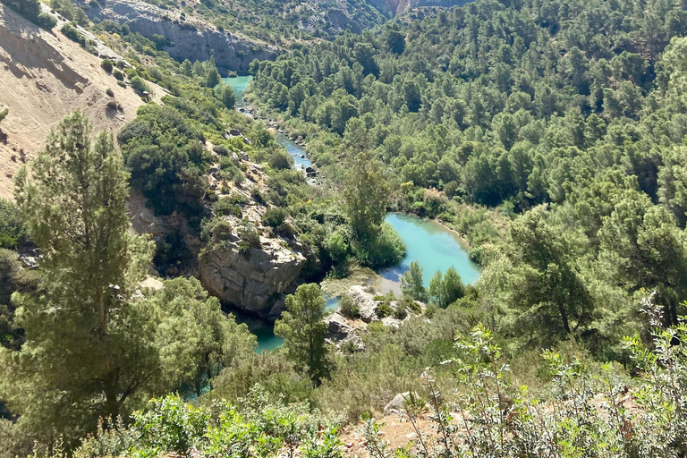 Caminito del Rey Experience: Tour with Transport from Malaga
