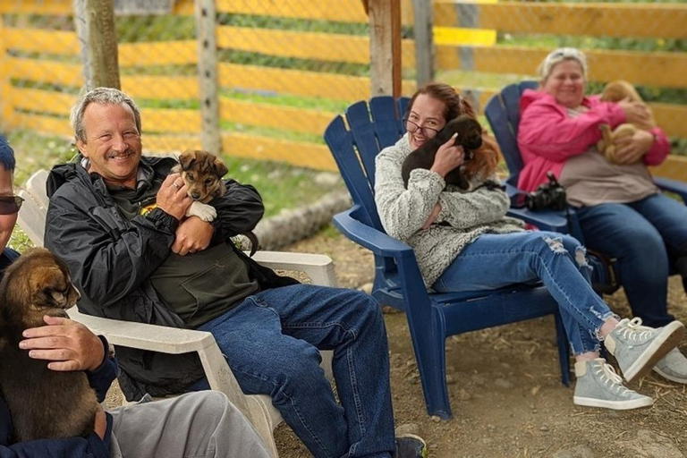 Skagway: Klondike Highway &amp; Yukon bustour met Husky Kennel