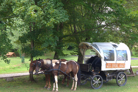Plitvice: Horseback Riding Tour with Cave Entry Ticket Ride to Barać Caves (Half‑day Horseback Tour)