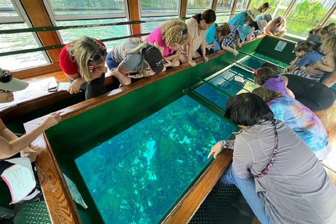 Desde Orlando: Parque Silver Springs y tour en barco con fondo de cristal