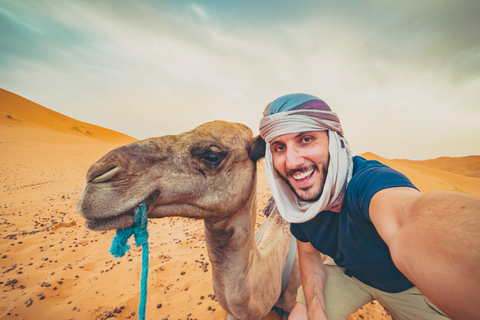 Hurghada: 4 Days Tour Horse, Camel, Spa, ATV, Jeep & Dolphin