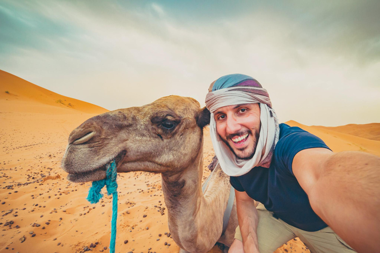 Hurghada: 4 Days Tour Horse, Camel, Spa, ATV, Jeep &amp; Dolphin