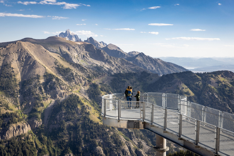 Jackson Hole: Aerial Tram and Gondolas Sightseeing Aerial Tram Only - Early Summer 2026
