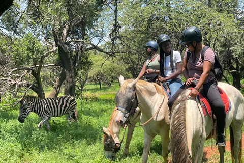 JOHANNESBURG: Aventura a cavalo e em quadriciclo