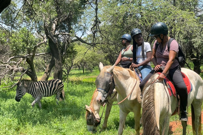 JOHANNESBURGO: Aventura a caballo y en quad