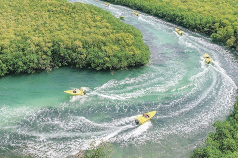 Cancun: Parasailing, Speedboat & Snorkeling Cancun: Parasailing Option