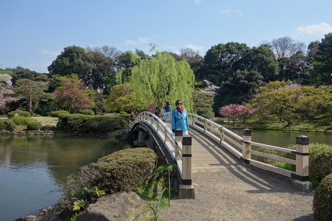Tokyo: Shinjuku Gyoen National Garden Guided Walking Tour Small Group Tour
