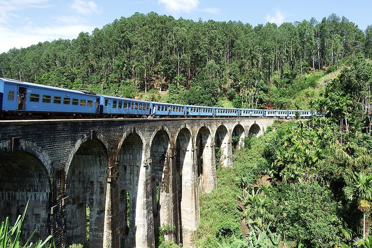 Da Colombo: Tour dello Sri Lanka di 4 giorni con alloggio