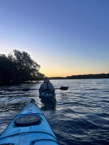 Adelaide: Twilight Mangrove Creek Kayak Tour by Torchlight