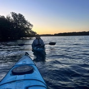 Adelaide: Twilight Mangrove Creek Kayak Tour
