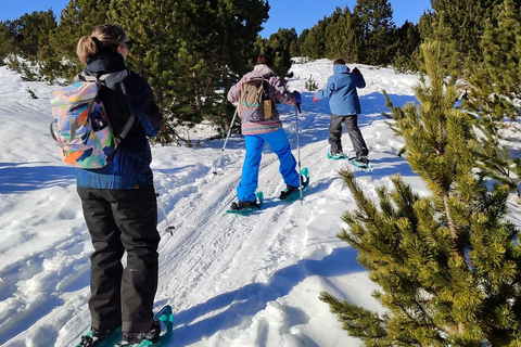 Cerdanya: Snowshoe tour through the forests and lakes of the Pyrenees