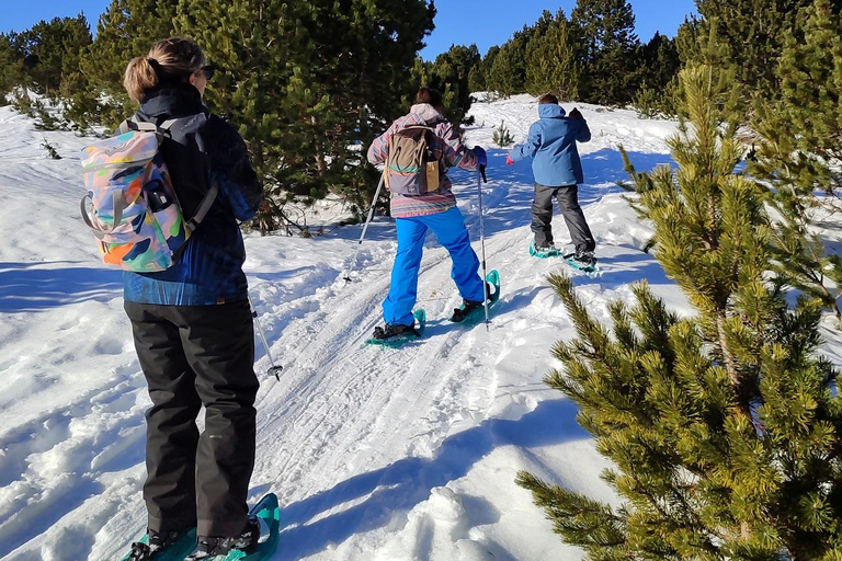 Cerdanya: Snowshoe tour through the forests and lakes of the Pyrenees
