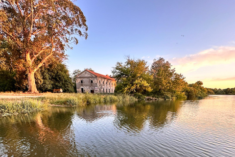 Climbing the River, an experience from Lisbon to Valada