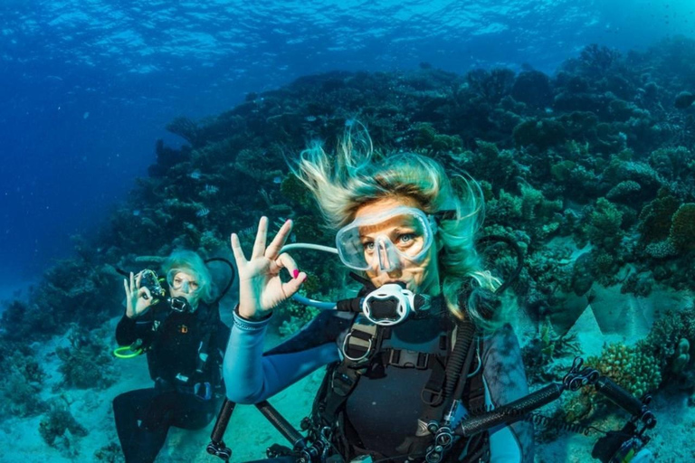Hurghada: Dive Experience for Beginners or Certified Divers Full-Day Scuba Diving for Certified Divers
