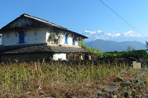 Pokhara: 2-Day Ghachok Village Tour with Homestay &amp; Hike