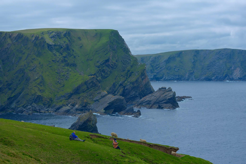 De Edimburgo: 6 dias de exploração de Shetland e NothernmostShetland Explorer de 6 dias -- Quarto duplo/duplo