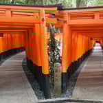 Kyoto: Fushimi Inari, Kinkakuji, Bamboo Grove, tour in autobus di 1 giorno