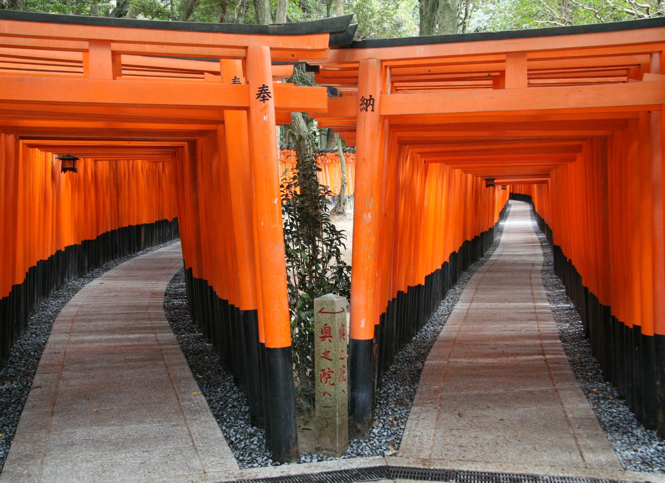 Kyoto: Heldagstur med de bedste UNESCO- og historiske steder