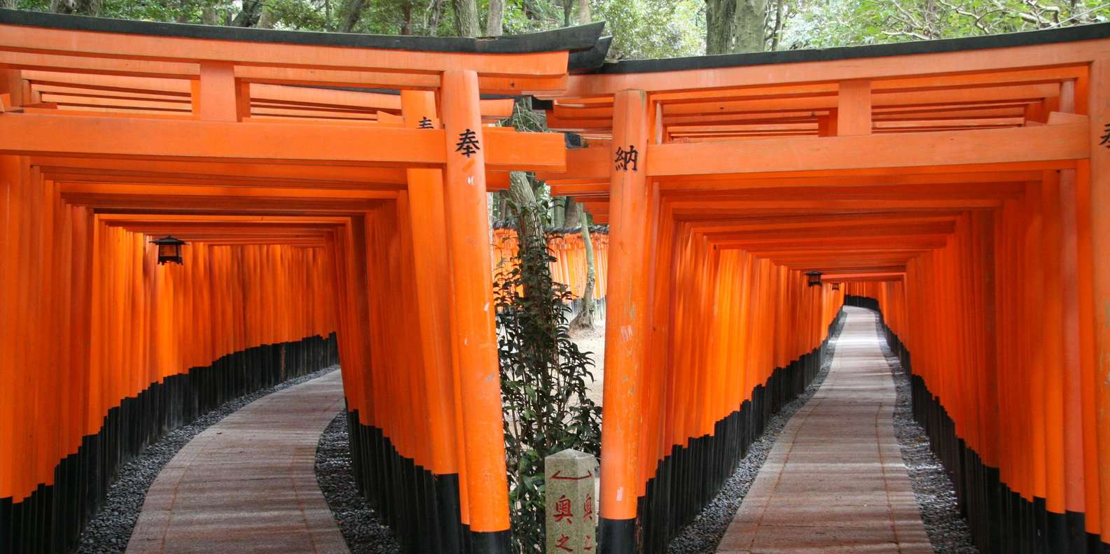 Kyoto: Fushimi Inari, Kinkakuji, Bamboo Grove 1 Day Bus Tour