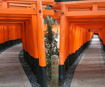 Kyoto: Excursão de 1 dia para os melhores locais históricos e da UNESCO de ônibus