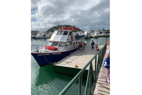 From Panama City: A Day on Taboga Island with Ferry and Lunch