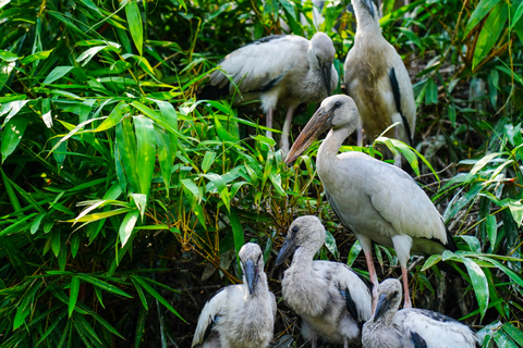 Jaipur: Bharatpur Bird Sanctuary Day Trip with Transfer