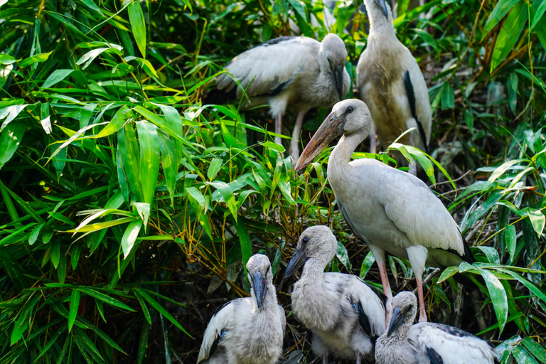 Jaipur: Bharatpur Bird Sanctuary Day Trip with Transfer