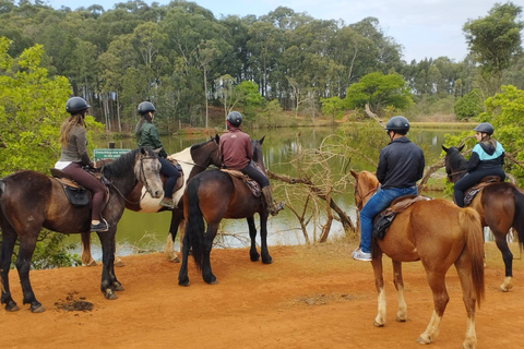 From Johannesburg: 2 Day Kingdom Of Eswatini Adventure