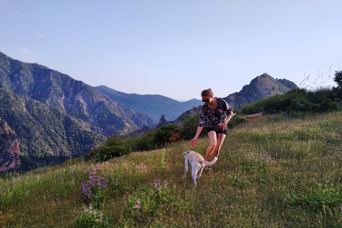 ⭐ Excursión al atardecer y cumbre de Sierra Nevada con cachorro ⭐⭐ Excursión al atardecer y cumbre de Sierra Nevada Excursión privada con cachorro ⭐