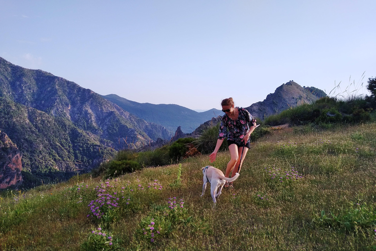 ⭐ Excursión al atardecer y cumbre de Sierra Nevada con cachorro ⭐⭐ Excursión al atardecer y cumbre de Sierra Nevada Excursión privada con cachorro ⭐