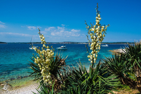 رحلة بالقارب ليوم كامل، سباحة في الكهف، غداء ومشروبات - ميدولين/سيجاMedulin: رحلة بحرية بالقارب إلى Kamen