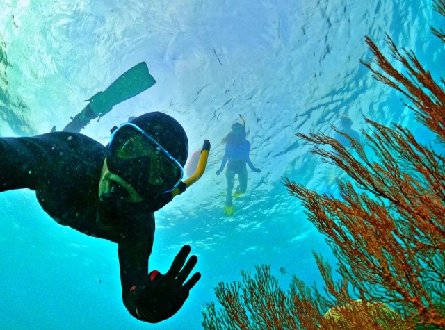 Visit Phu Quoc Small-group Snorkeling to the Coral Jungle Reef in Phu Quoc, Vietnam