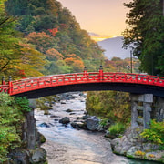 Tokyo:Nikko with English speaking guide/driver customisable